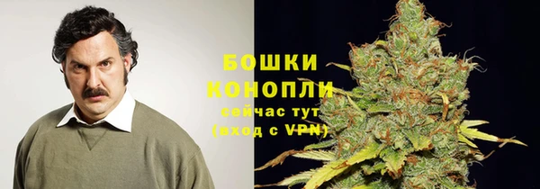 трава Бородино