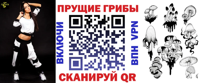 Псилоцибиновые грибы Cubensis  Рузаевка 